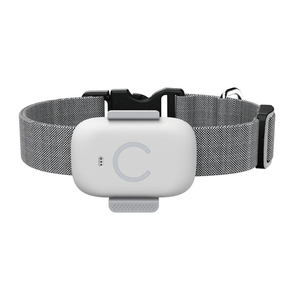 Pet-Tracker product map