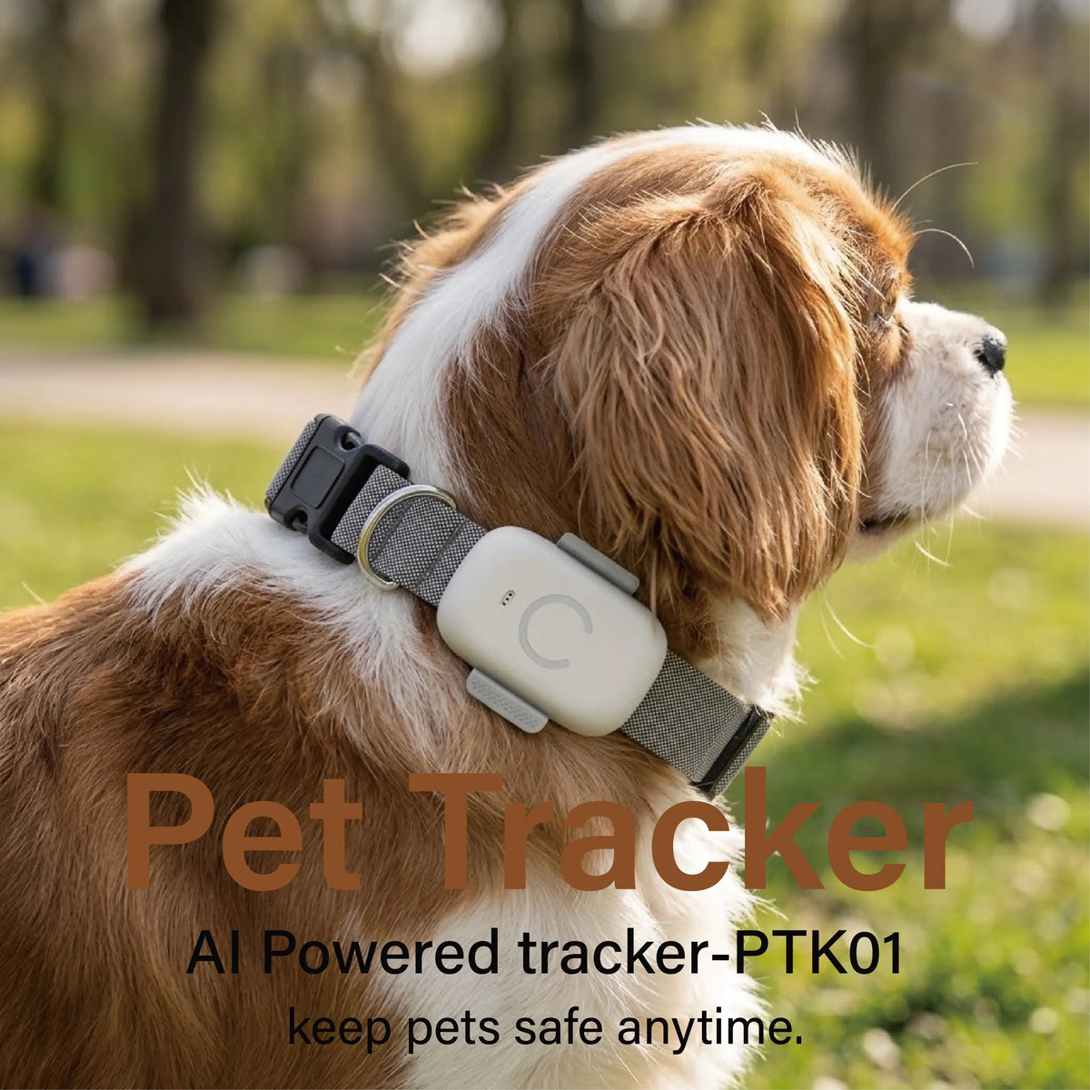 Telemiles Pet Tracker PTK01 front view-lightweight 23g GPS dog and cat tracker device