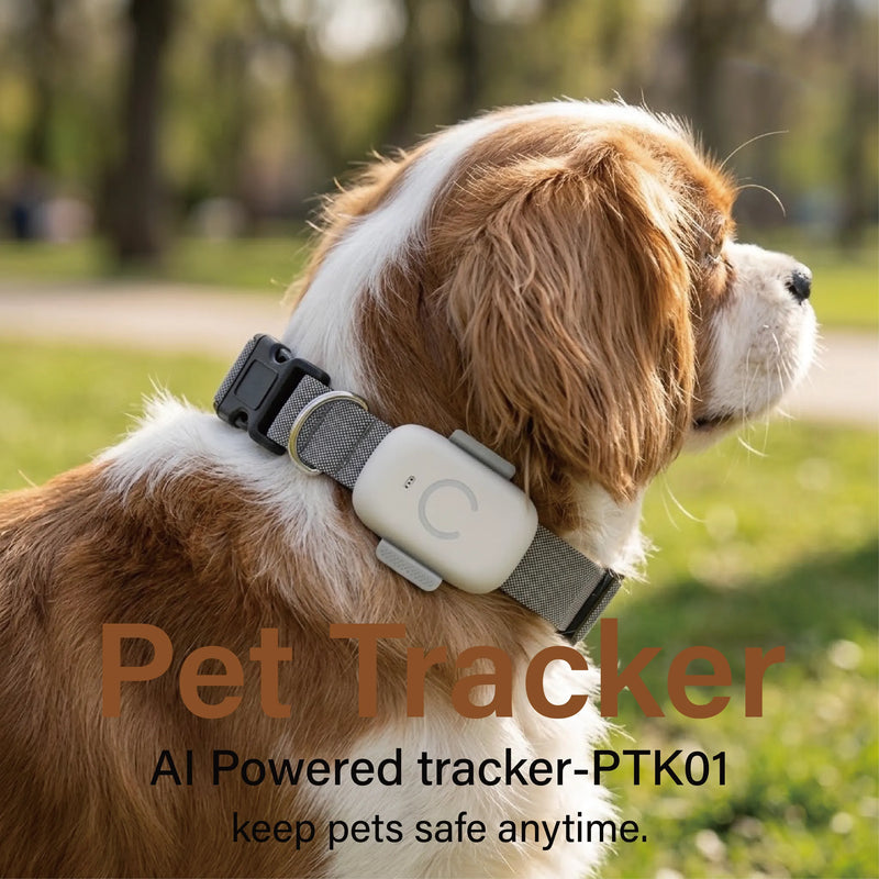 Telemiles Pet Tracker PTK01 front view-lightweight 23g GPS dog and cat tracker device