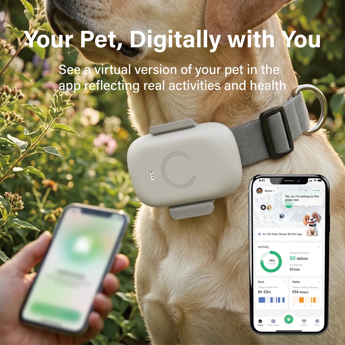 Pet Tracker PTK01 app screen showing health/activity digital twin of pet in companion app