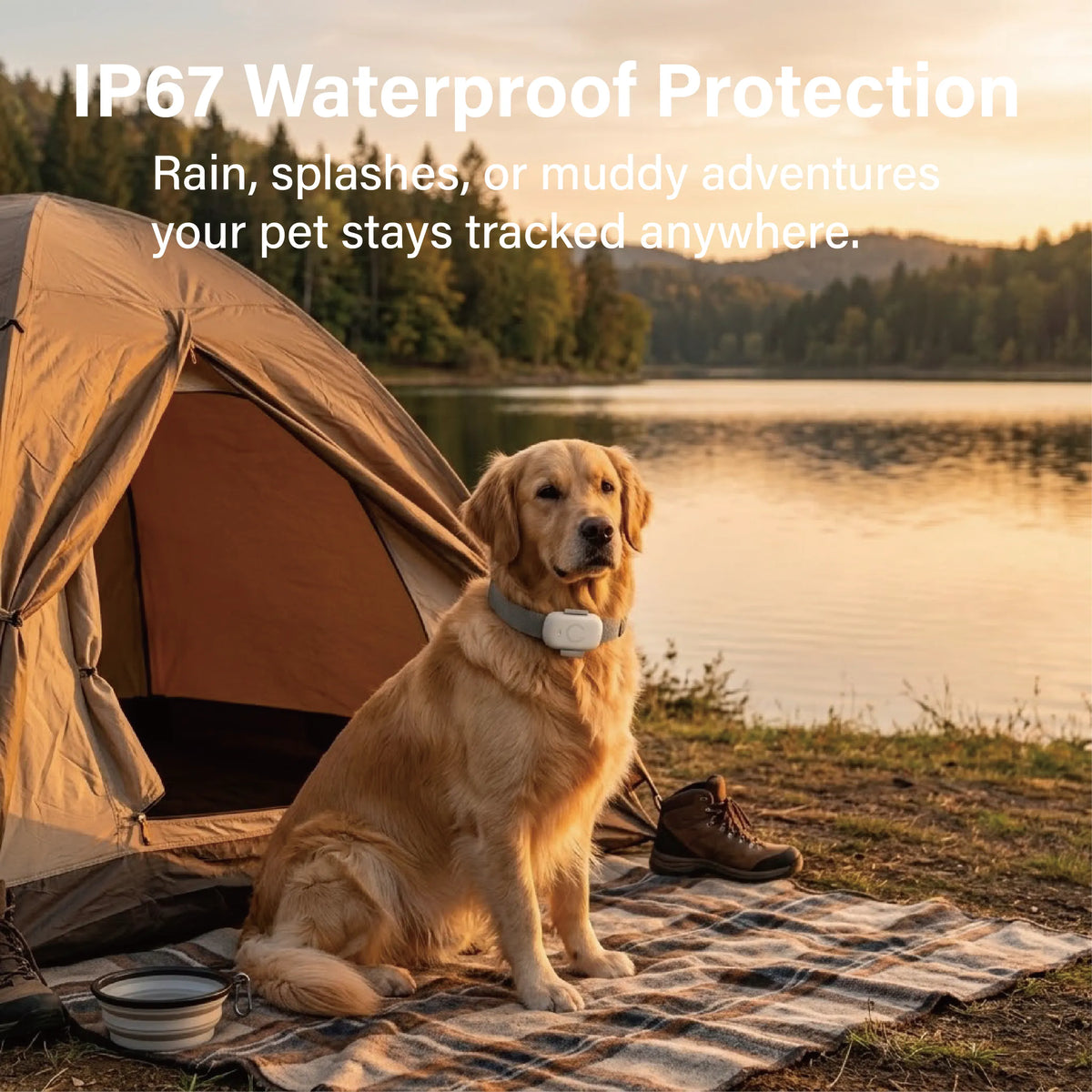 Telemiles Pet Tracker IP67 waterproof design for safe outdoor and rainy day use.