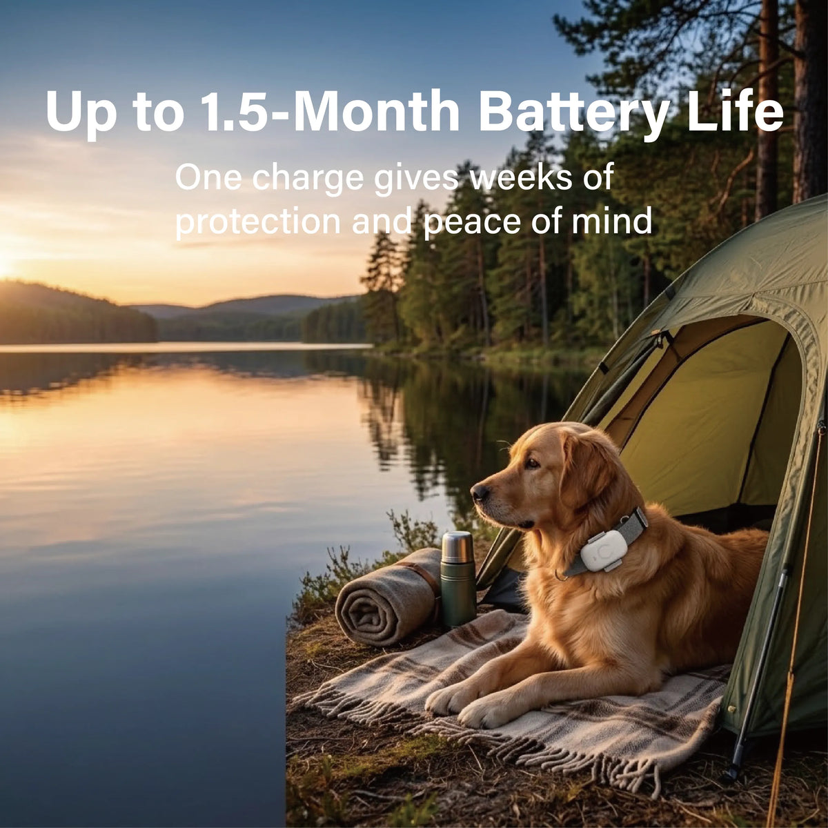 Telemiles Pet Tracker with 800mAh battery for long standby and continuous racking.