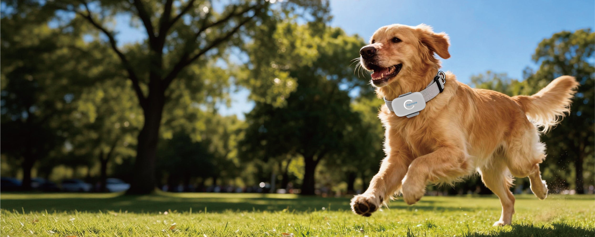 Telemiles Pet tracker-banner