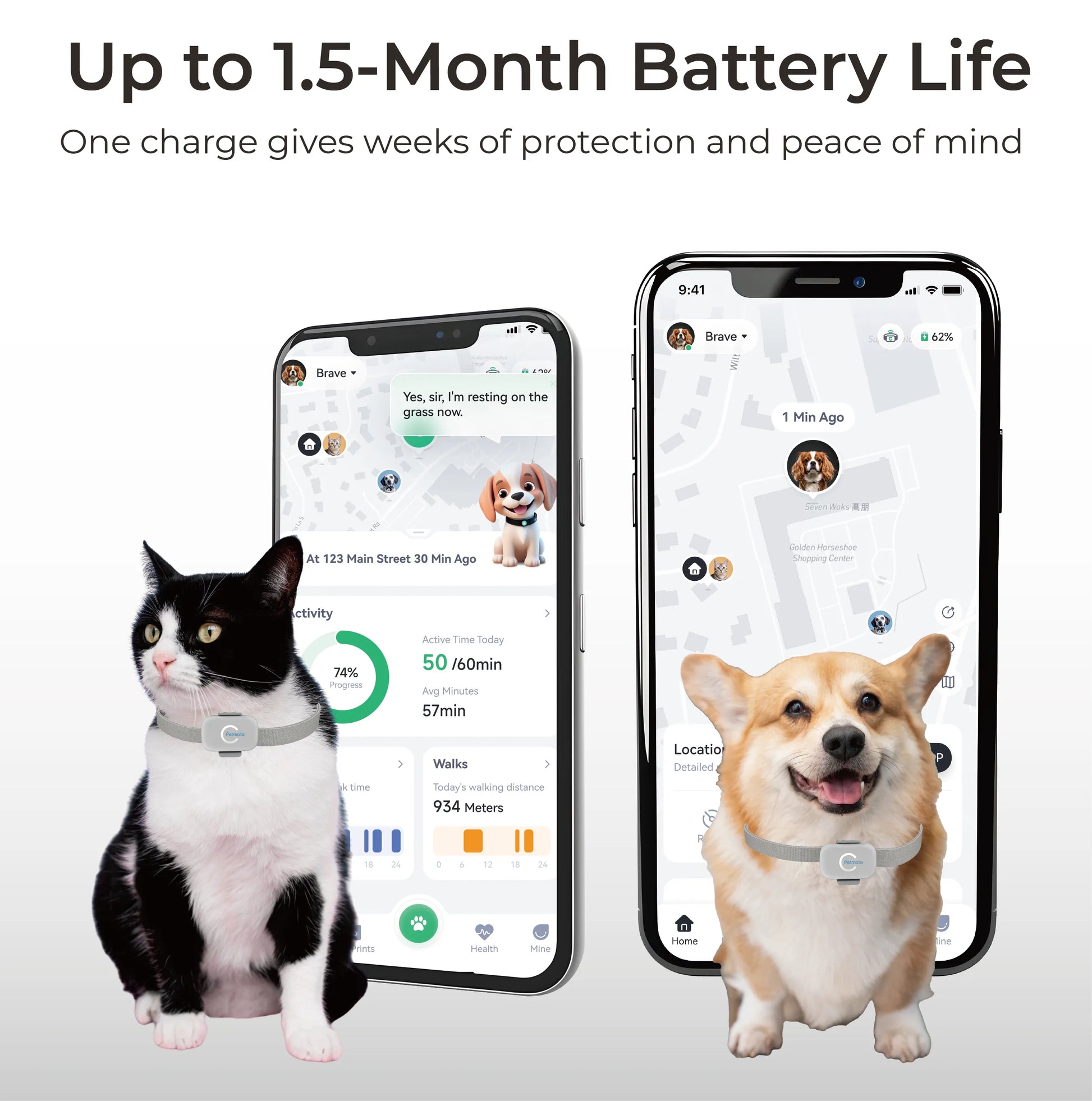 Telemiles Pet Tracker with 800mAh battery for long standby and continuous racking.