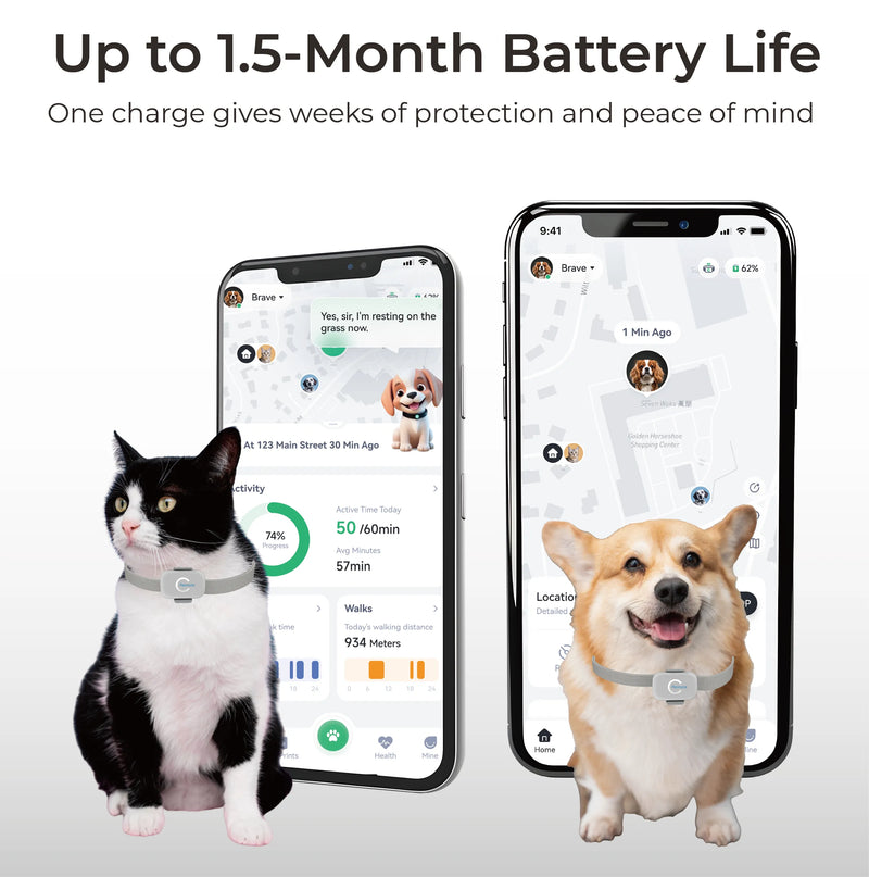 Telemiles Pet Tracker with 800mAh battery for long standby and continuous racking.