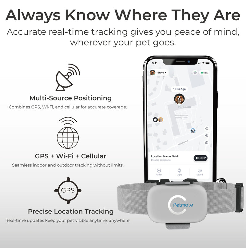 Pet Tracker PTK01 shown attached to dog collar during outdoor walk for real-time tracking