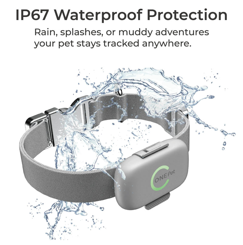 Telemiles Pet Tracker IP67 waterproof design for safe outdoor and rainy day use.