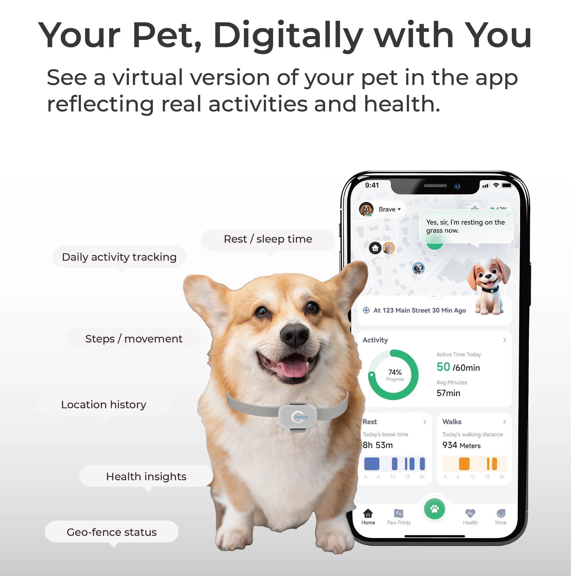 Pet Tracker PTK01 app screen showing health/activity digital twin of pet in companion app